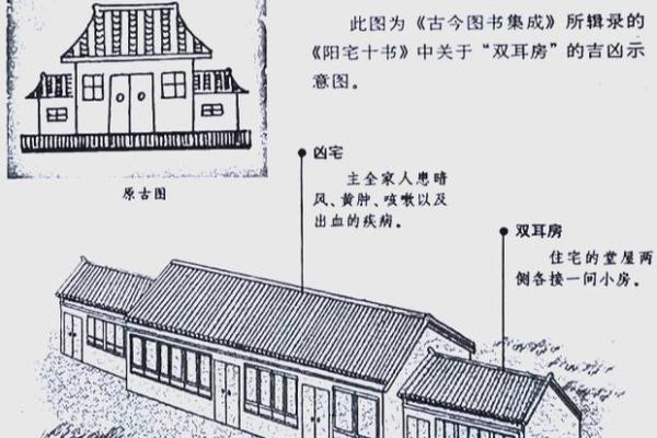 金命人士如何选择楼层，运势与居住环境完美结合