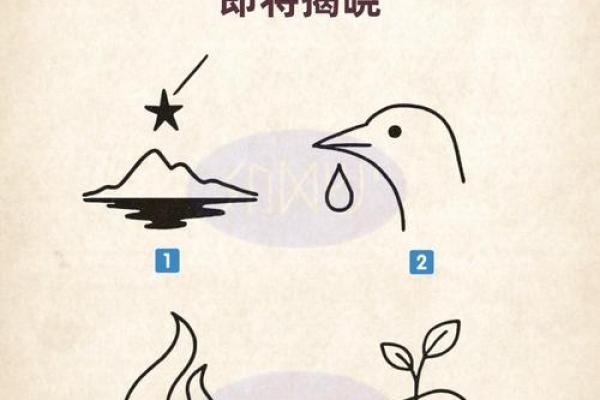 夜晚11点出生的人命理解析：揭示命运的奥秘与指引