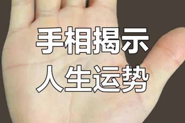 揭秘命理:从手掌纹路看你的人生轨迹与命运选择 揭秘命理:从手掌纹路看你的人生轨迹与命运选择