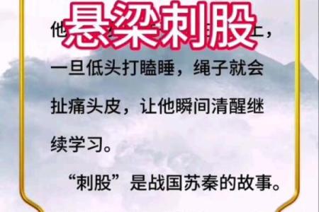 命什么悬的成语解析与人生启示