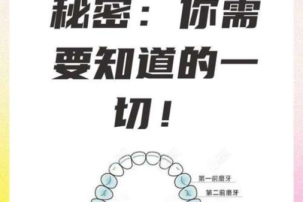 牙齿的奥秘：24颗牙齿背后的命运与健康关系