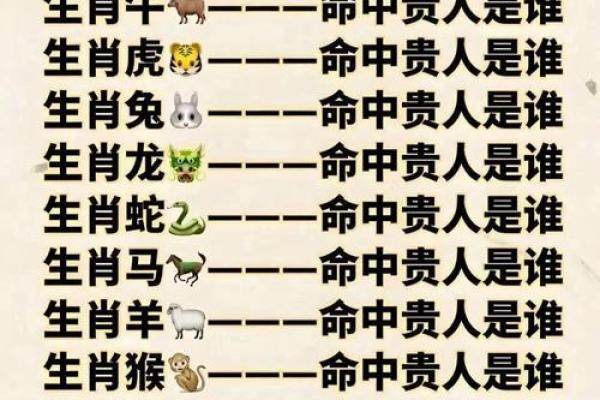 揭秘生肖中的“长命之星”：谁才是最长寿的生肖？