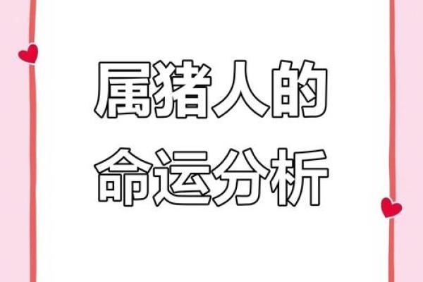 解读83年正月出生者的命运与性格特征