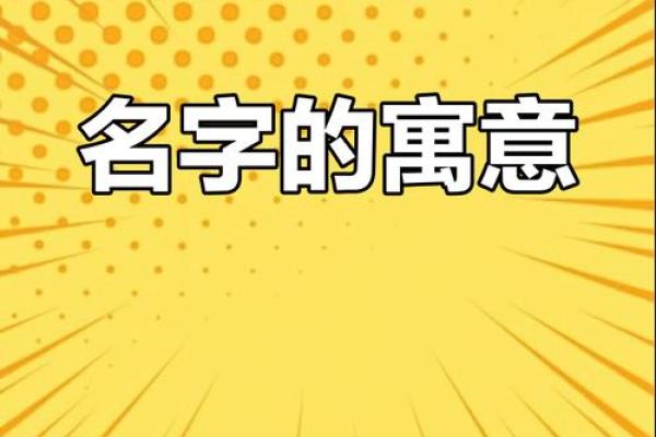 同名异用:为何同一个名字承载着不同的命运? 同名异用:为何同一个名字承载着不同的命运?