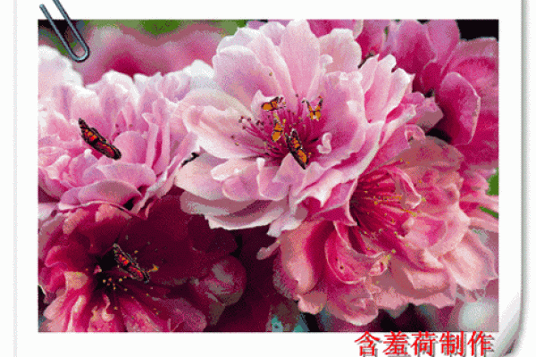 泉中水命的女人与什么命最配？揭秘人生幸福的秘诀！