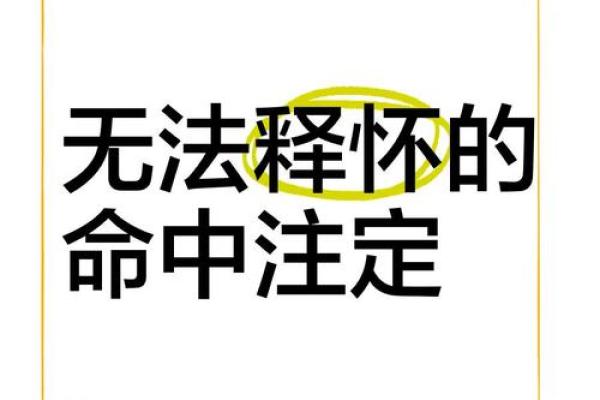 命中注定，千帆过尽——追寻人生的精彩与成长