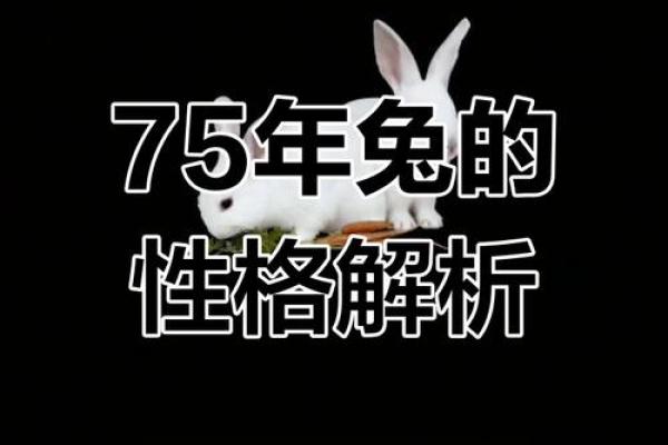 解读2011兔年命理：兔年出生者的性格与命运探索