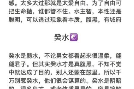 探寻2003年命理之道：属于“癸未”年的启示与反思