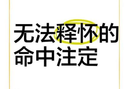 命中注定，千帆过尽——追寻人生的精彩与成长