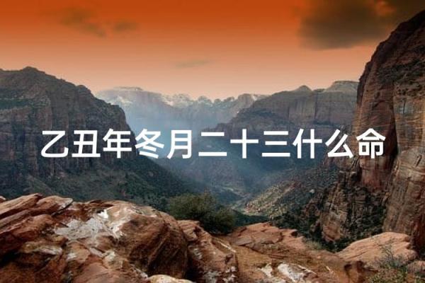 冬月出生的命运与性格特征分析