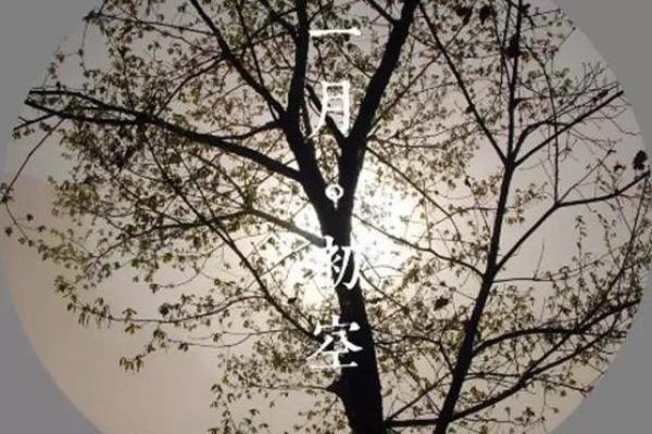 冬月出生的命运与性格特征分析