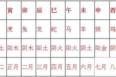 91年命与五行相宜，提升运势的最佳选择