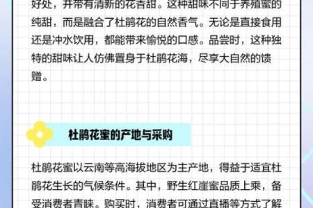 什么是杜鹃命？探索古老命理中的神秘秘密