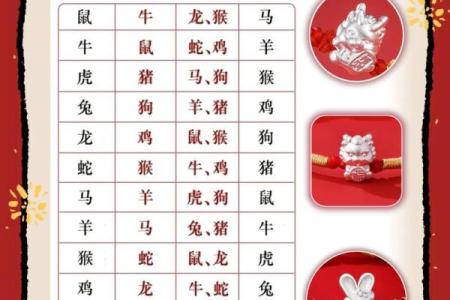 木命龙适合佩戴的饰品与禁忌分析，让你运势更旺！