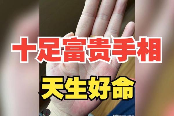 掌握手相：何种手相的人拥有孝子命