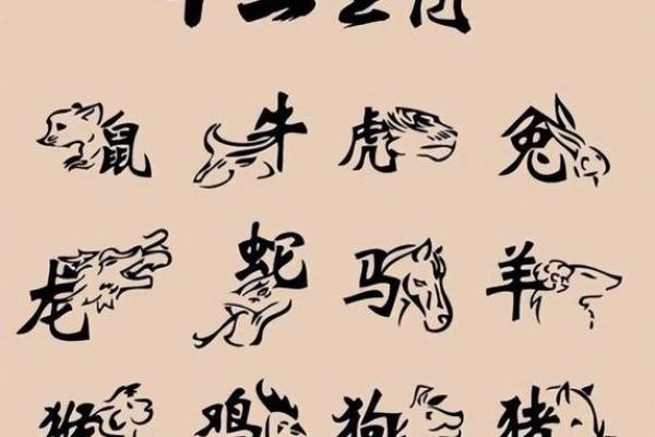 80后：属什么生肖，命运如何？一探生肖与命运的奥秘！