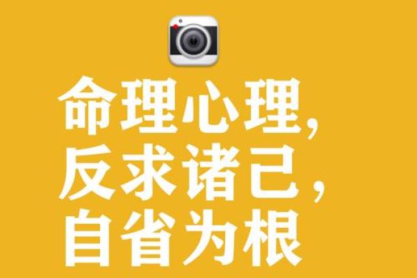 《什么就是什么》：命运的哲学与人生态度的思考