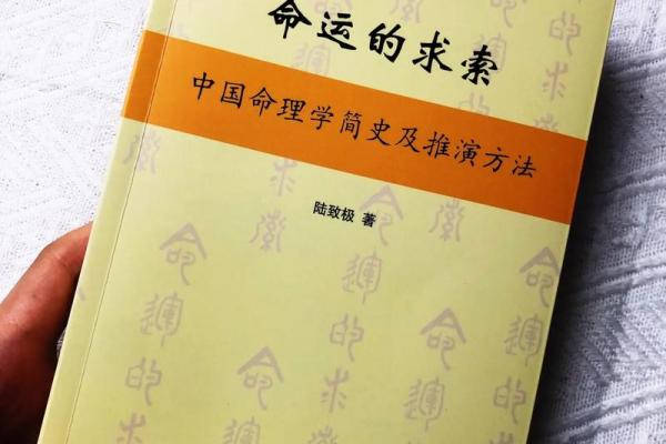 《命》——关于命运与选择的哲学探讨