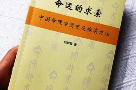 《命》——关于命运与选择的哲学探讨