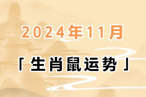 了解84年鼠年命理：2024年的运势与发展趋势解析