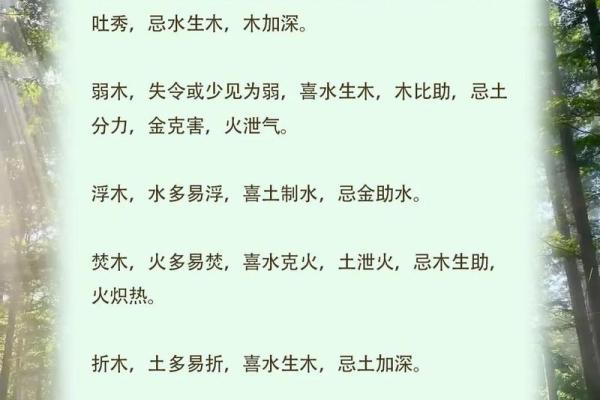 了解1956年出生的木命人：性格、特征与运势解析