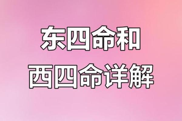 八宅风水：探索东四命与西四命的奥秘与应用
