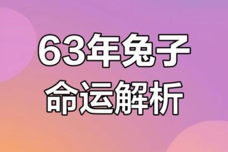 属兔男与之命合财运的完美搭配分析