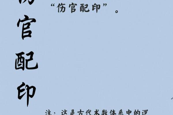 命理揭秘：女命伤官见官的深刻含义与人生启示