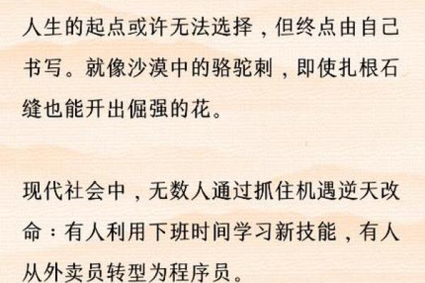 23岁属什么命？解读你的命运与人生选择！