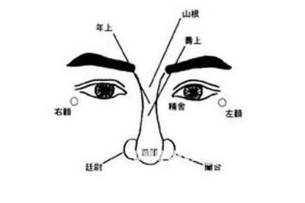 女子鼻孔小的命运解析：神秘的面相与人生轨迹