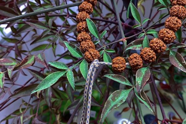 命里缺水，如何挑选适合的文玩提升运势？