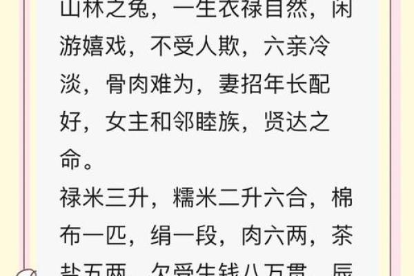 1951年出生的兔年命运解析：温柔与智慧相伴的传奇人生