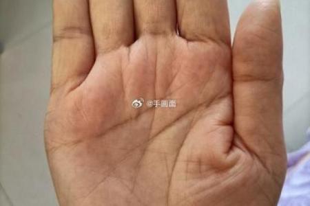 86年丑时人运势揭秘：智慧与挑战并存的人生之路