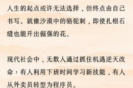 23岁属什么命？解读你的命运与人生选择！