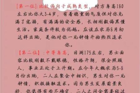 1951年出生的兔年命运解析：温柔与智慧相伴的传奇人生