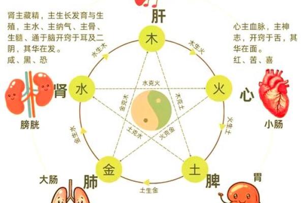 命理中的水与土：相生相克，平衡与和谐之道