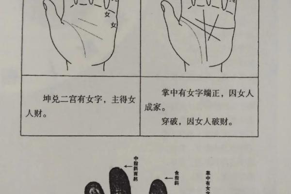 解读2004年出生者的命运：属猴的金命奥秘
