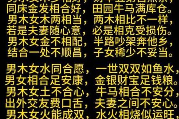 属水命与其他命格的完美搭配：寻找最和谐的伴侣关系