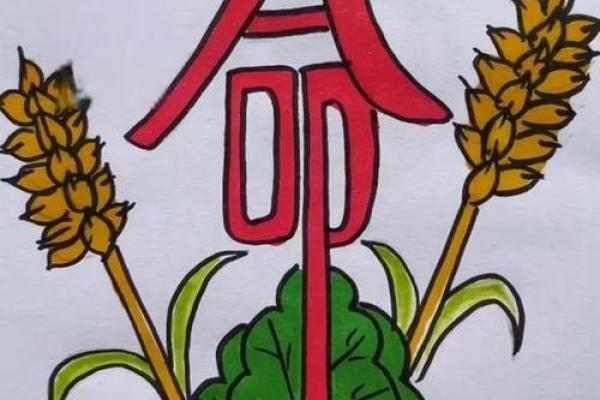 为什么四两九命是特别的命,有何独特之处? 为什么四两九命是特别的命,有何独特之处?