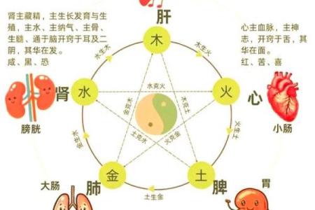 命理中的水与土：相生相克，平衡与和谐之道