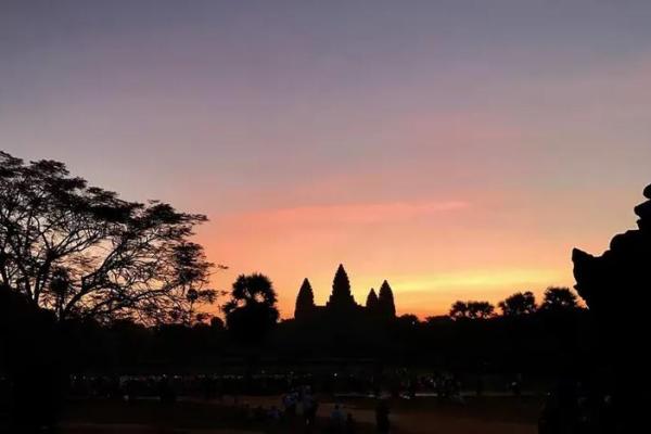 1954年出生的人：命运与性格的探秘之旅