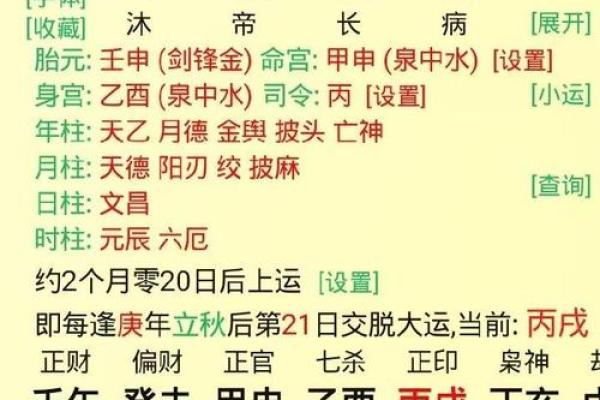 探讨寅时和申时的命运解析:揭开八字中的神秘面纱 探讨寅时和申时的命运解析:揭开八字中的神秘面纱