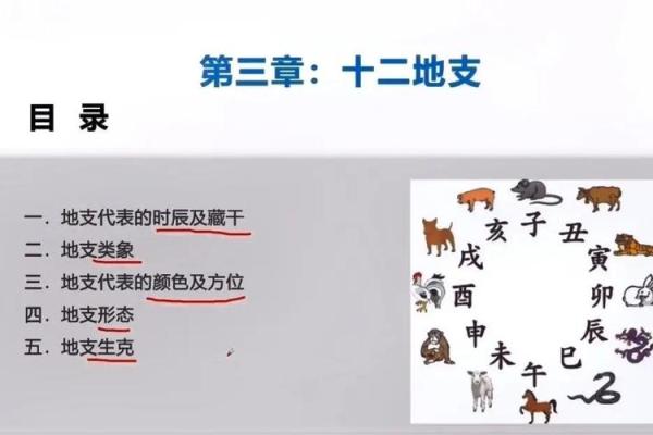 52年与53年出生的人命运解析：揭示人生的奥秘与智慧