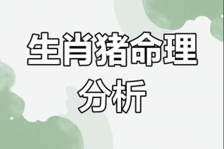 70岁属猪者的命运分析：智慧与幸福的结合之路