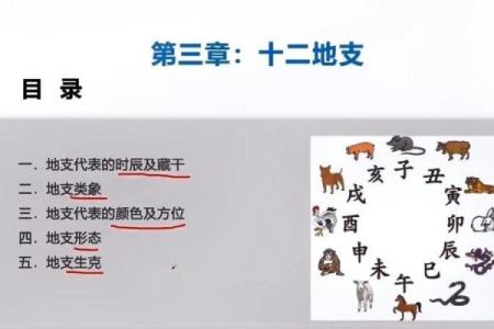 52年与53年出生的人命运解析：揭示人生的奥秘与智慧