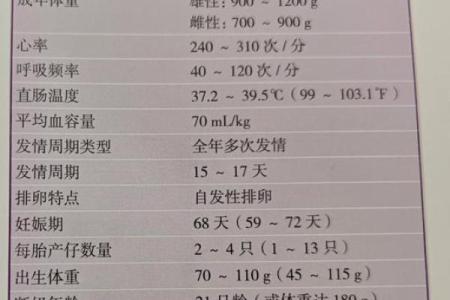 腊月猪宝宝的命运解析：生命中的幸福与挑战