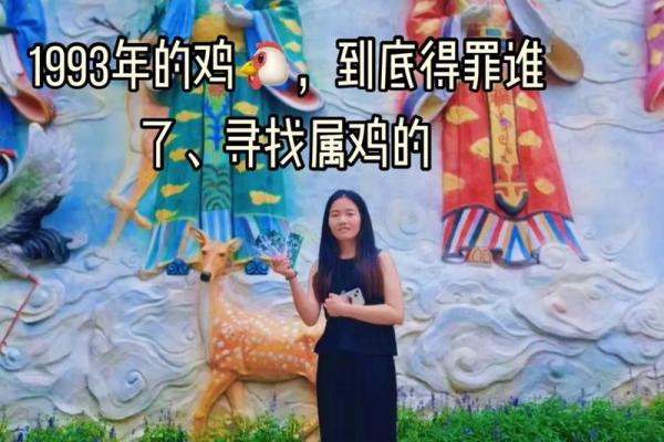 93年出生的人属鸡，揭示其命运与性格特征的奥秘