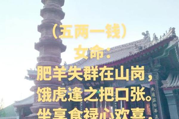 深揭秘：男命真女命假背后的古老哲学与现代解析