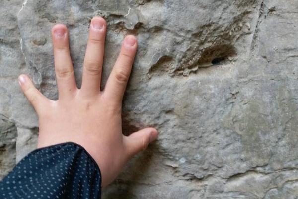 解密石榴木命：自然之力与命理智慧的交汇点