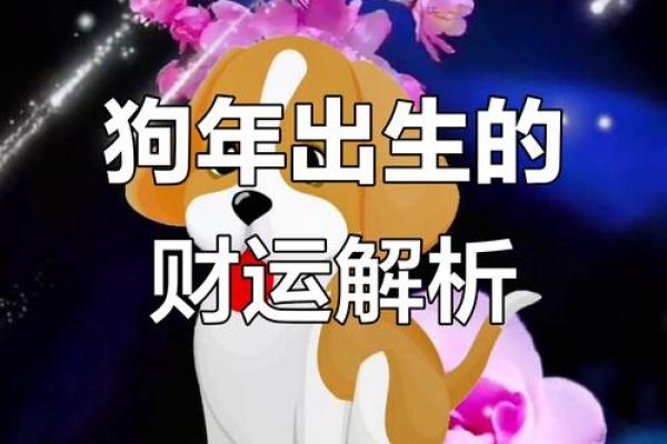 1945年属狗人的命运解析:命中注定的财富与机遇 1945年属狗人的命运解析:命中注定的财富与机遇